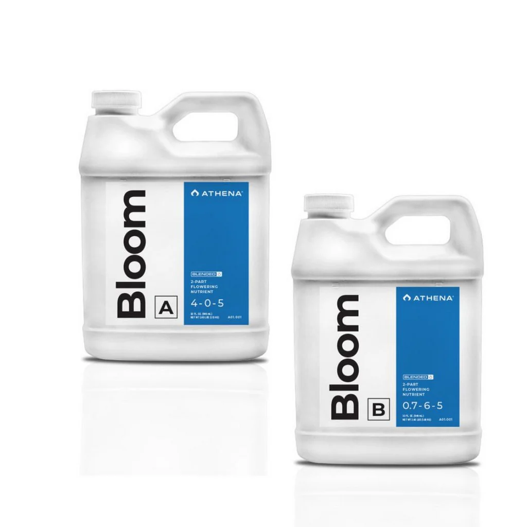 Athena Bloom (Blended) - Image 5