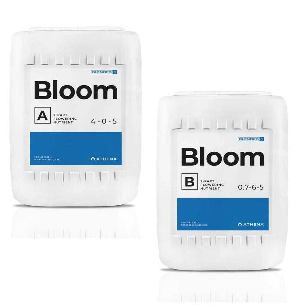 Athena Bloom (Blended) - Image 3