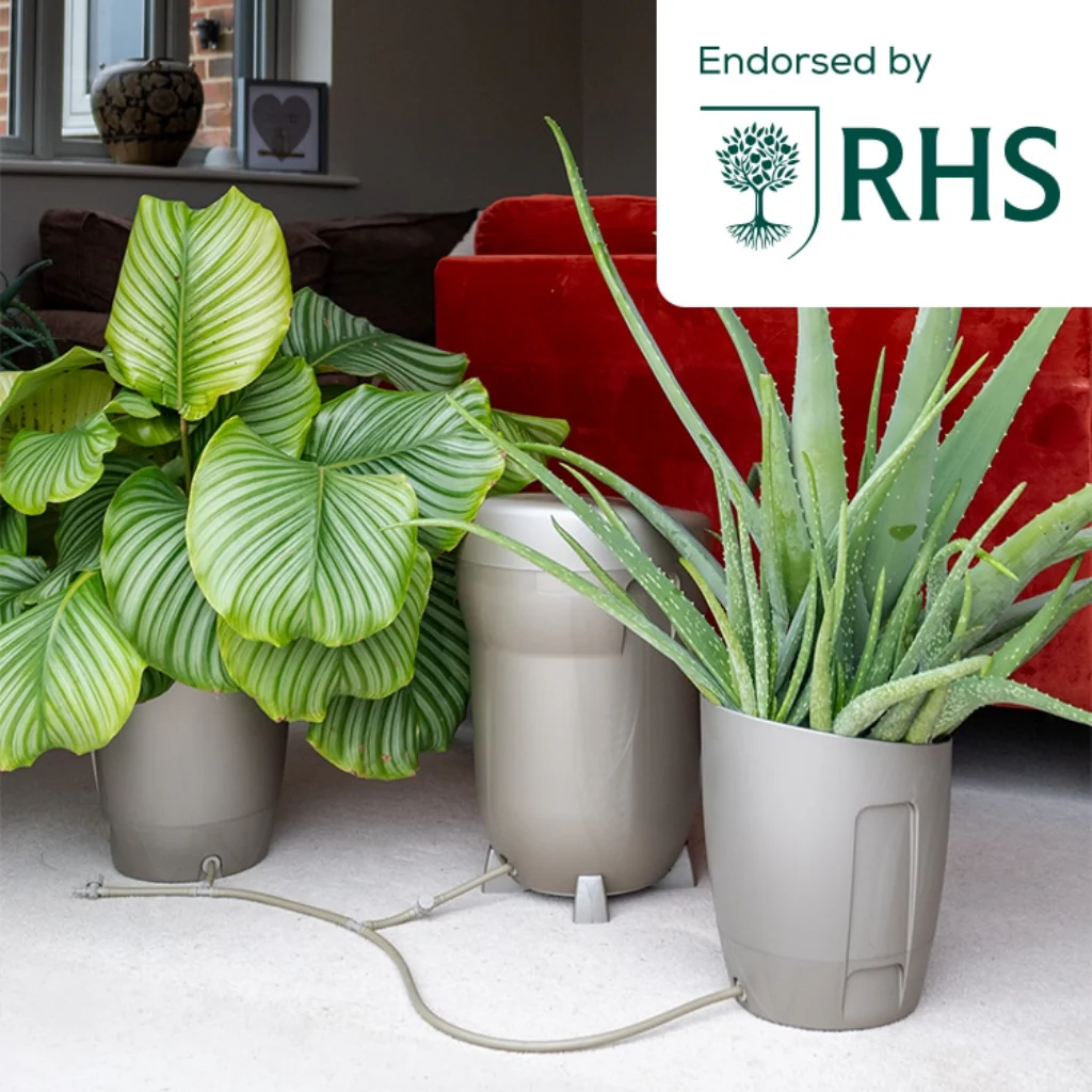 Autopot Khloris Watering System - Image 3