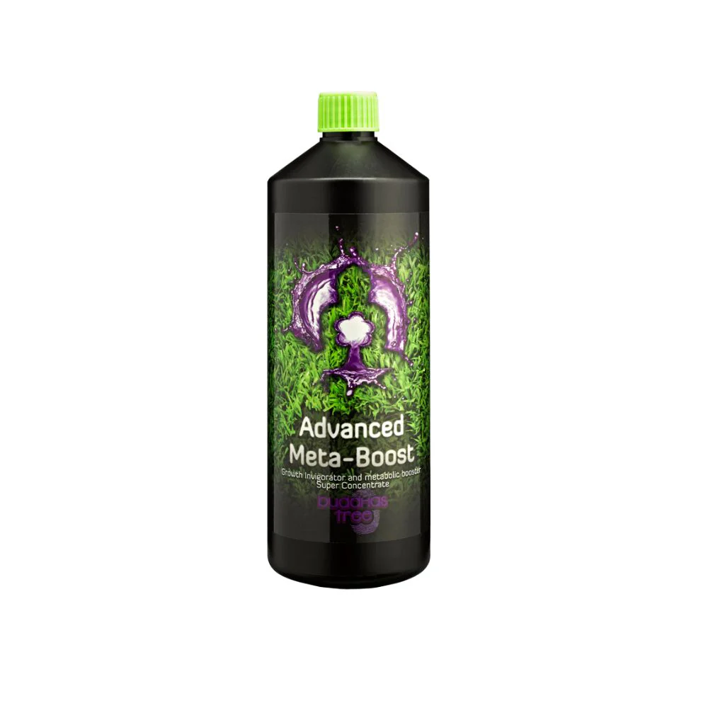 Buddhas Tree Advanced Meta-Boost - Image 3