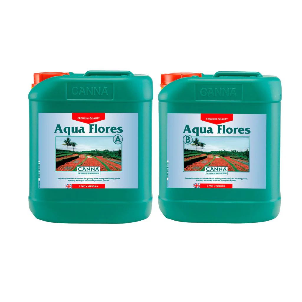 Canna Aqua Flores - Image 3