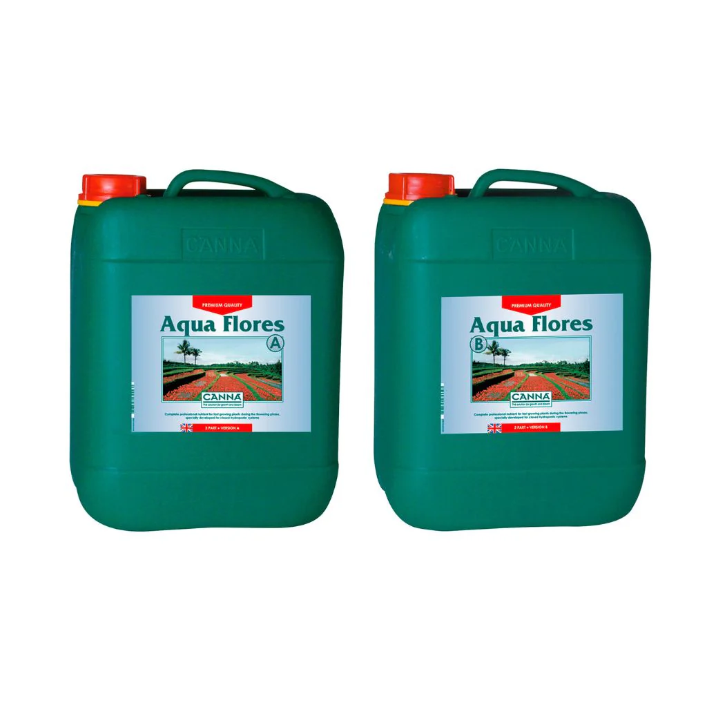 Canna Aqua Flores - Image 4