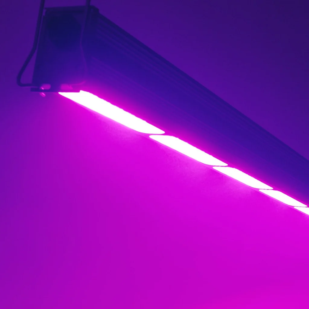 Lumatek 300w GH Top Light (Red + Blue) LED Grow Light - Image 3